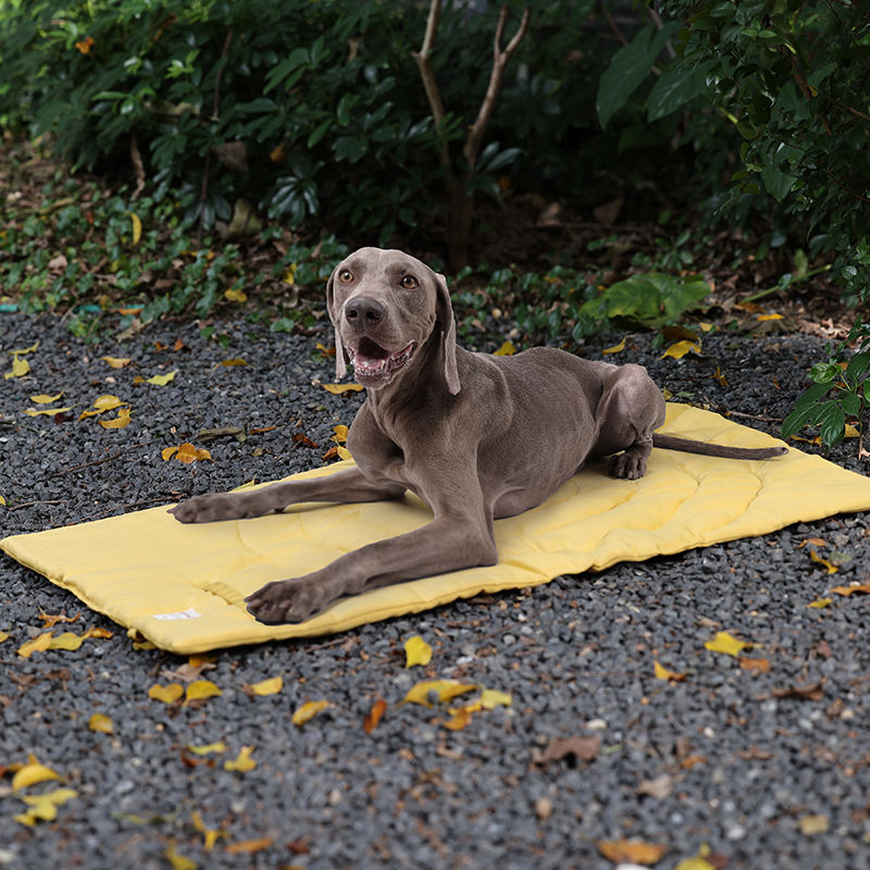 Portable Pet Mat Foldable Pet  - Outdoor Rug Waterproof recension och pris